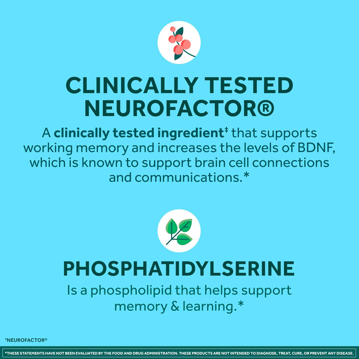 Neuriva Plus, Brain Health Supplement with Coffee Cherry Extract & Phosphatidylserine